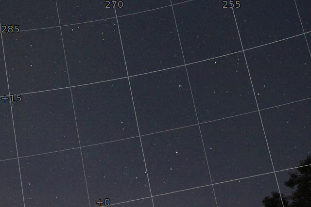 Solved plate image
