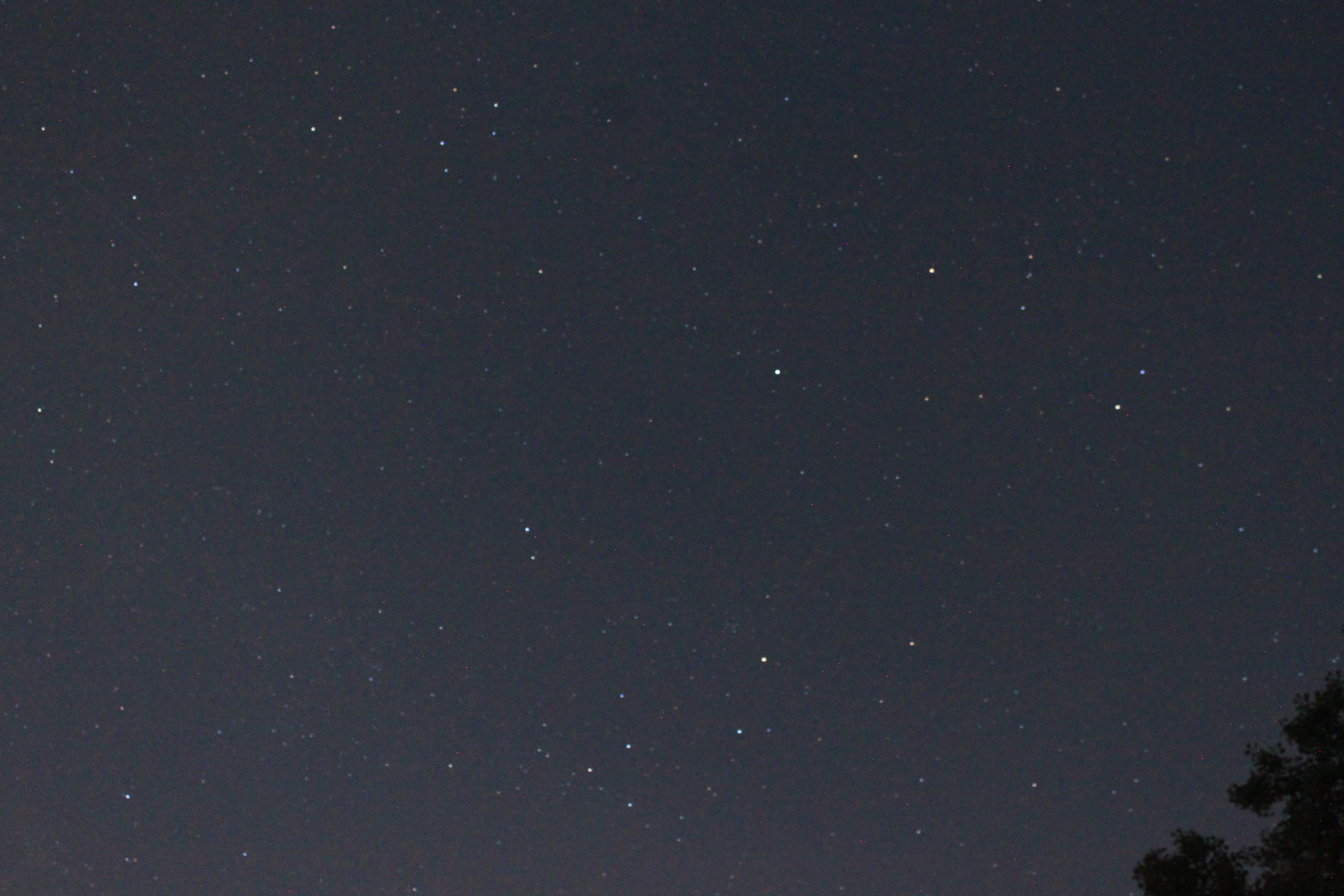 Raw plate image